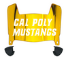 Cal Poly Mustangs Mini Football Helmet Visor Shield w/ Clips - PICK VISOR & LOGO COLOR