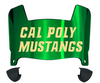 Cal Poly Mustangs Mini Football Helmet Visor Shield w/ Clips - PICK VISOR & LOGO COLOR