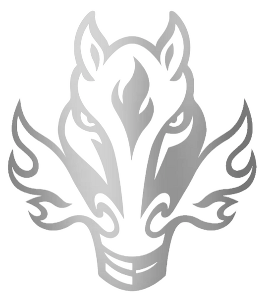 Calgary Flames SILVER CHROME MIRROR Alternate Logo Premium DieCut Vinyl Decal PICK SIZE