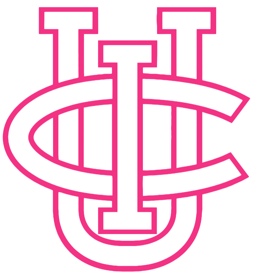 California Irvine Anteaters HOT PINK Team Logo Premium DieCut Vinyl Decal PICK SIZE