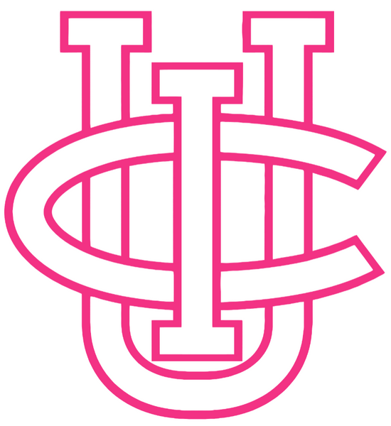 California Irvine Anteaters HOT PINK Team Logo Premium DieCut Vinyl Decal PICK SIZE