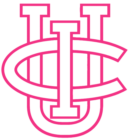 California Irvine Anteaters HOT PINK Team Logo Premium DieCut Vinyl Decal PICK SIZE