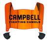 Campbell Fighting Camels Mini Football Helmet Visor Shield w/ Clips - PICK VISOR & LOGO COLOR