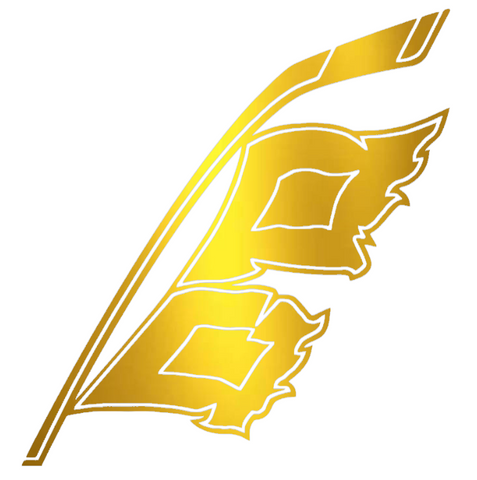 Carolina Hurricanes GOLD CHROME MIRROR Alternate Logo Premium DieCut Vinyl Decal PICK SIZE
