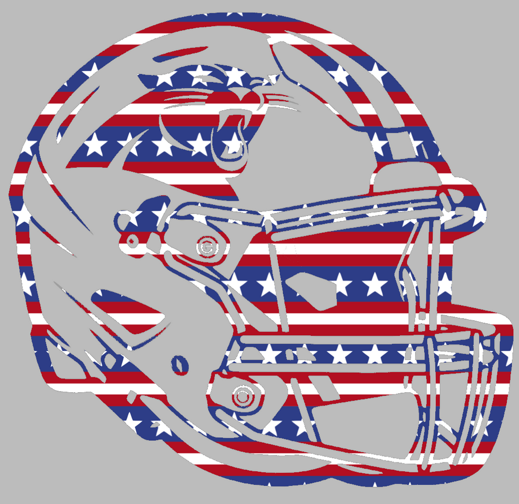 Carolina Panthers Football Helmet Stars & Stripes USA American Flag Vinyl Decal PICK SIZE