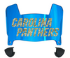 Carolina Panthers Limited Edition Mini Football Helmet Visor Shield w/ Clips - PICK VISOR & LOGO COLOR