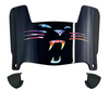 Carolina Panthers Limited Edition Mini Football Helmet Visor Shield w/ Clips - PICK VISOR & LOGO COLOR