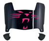 Carolina Panthers Limited Edition Mini Football Helmet Visor Shield w/ Clips - PICK VISOR & LOGO COLOR