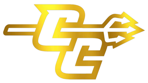 Central Connecticut Blue Devils GOLD CHROME MIRROR CC Logo Premium DieCut Vinyl Decal PICK SIZE