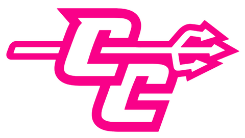 Central Connecticut Blue Devils Hot Pink CC Logo Premium DieCut Vinyl Decal PICK SIZE