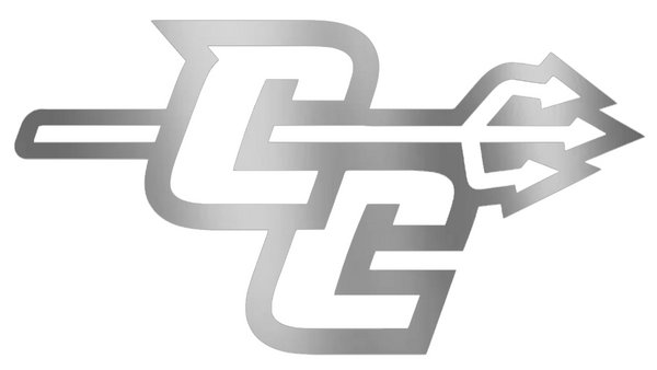 Central Connecticut Blue Devils SILVER CHROME MIRROR CC Logo Premium DieCut Vinyl Decal PICK SIZE