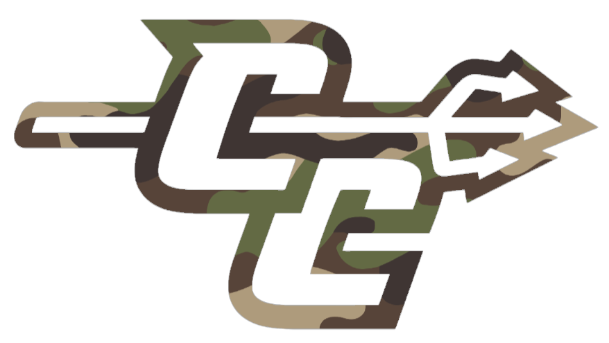 Central Connecticut Blue Devils Woodland Camo Camouflage CC Logo Premium DieCut Vinyl Decal PICK SIZE