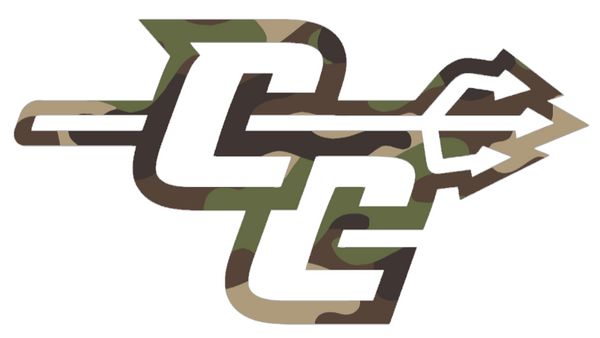 Central Connecticut Blue Devils Woodland Camo Camouflage CC Logo Premium DieCut Vinyl Decal PICK SIZE