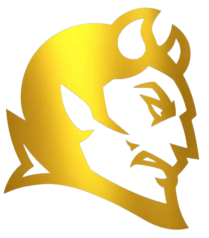 Central Connecticut Blue Devils GOLD CHROME MIRROR Team Logo Premium DieCut Vinyl Decal PICK SIZE