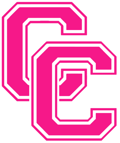 Central Connecticut Blue Devils Hot Pink Retro Throwback Logo Premium DieCut Vinyl Decal PICK SIZE