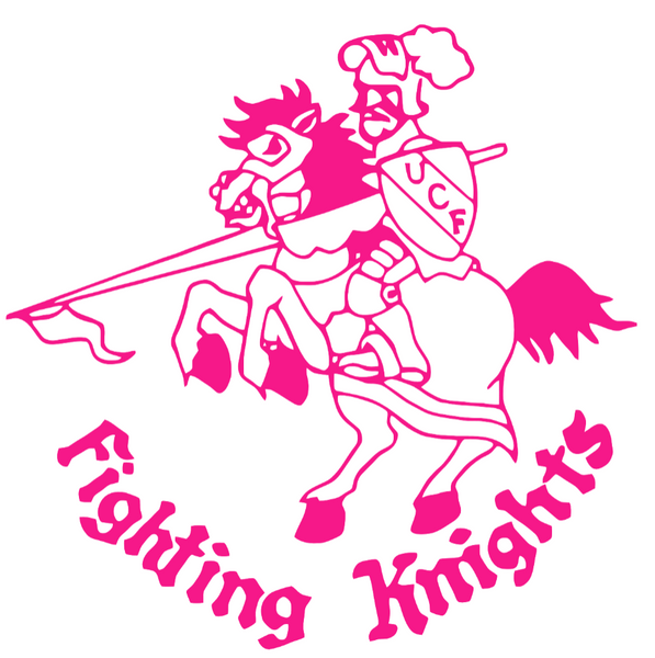 UCF Central Florida Knights Hot Pink Retro Throwback Logo Premium DieCut Vinyl Decal PICK SIZE