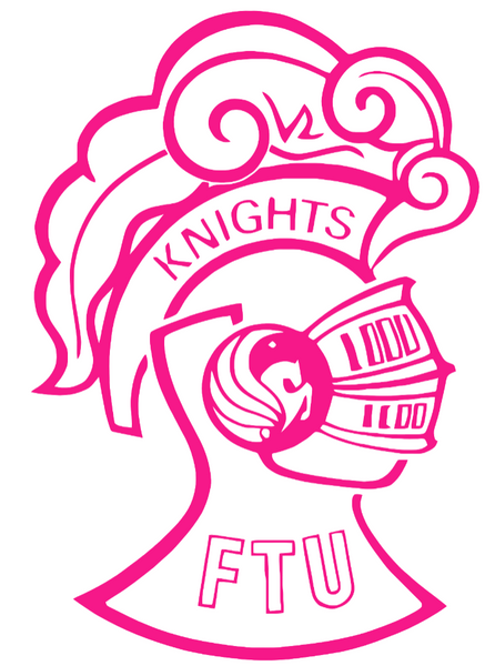 UCF Central Florida Knights Hot Pink Retro Throwback Logo Premium DieCut Vinyl Decal PICK SIZE