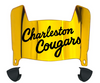 Charleston Cougars Mini Football Helmet Visor Shield w/ Clips - PICK VISOR & LOGO COLOR