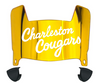 Charleston Cougars Mini Football Helmet Visor Shield w/ Clips - PICK VISOR & LOGO COLOR