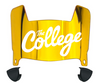 Charleston Cougars Mini Football Helmet Visor Shield w/ Clips - PICK VISOR & LOGO COLOR