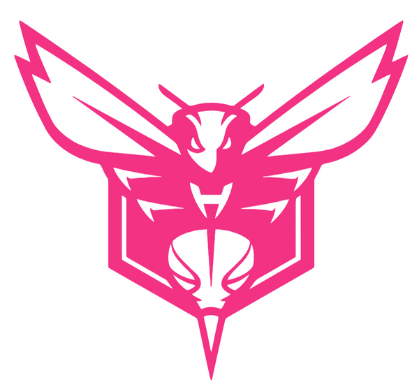 Charlotte Hornets HOT PINK Team Logo Premium DieCut Vinyl Decal PICK SIZE