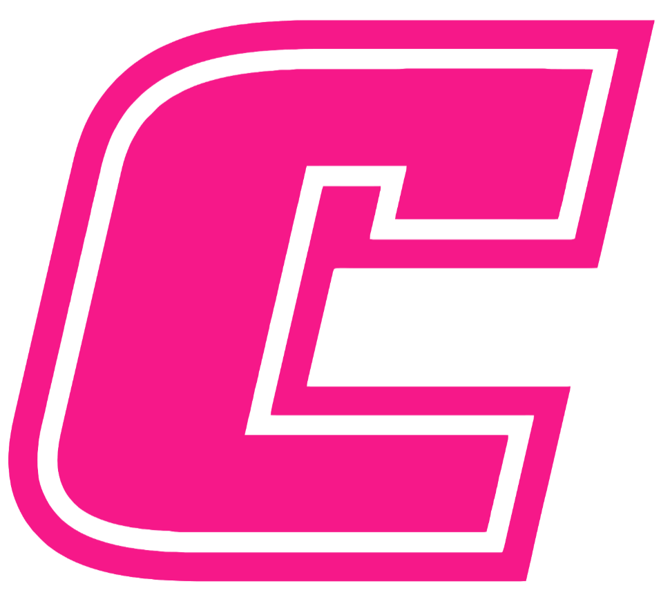 Chattanooga Mocs Hot Pink Team Logo Premium DieCut Vinyl Decal PICK SIZE