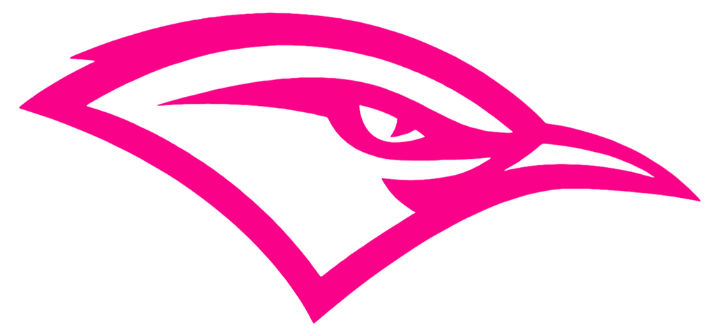Chattanooga Mocs Hot Pink Mascot Logo Premium DieCut Vinyl Decal PICK SIZE