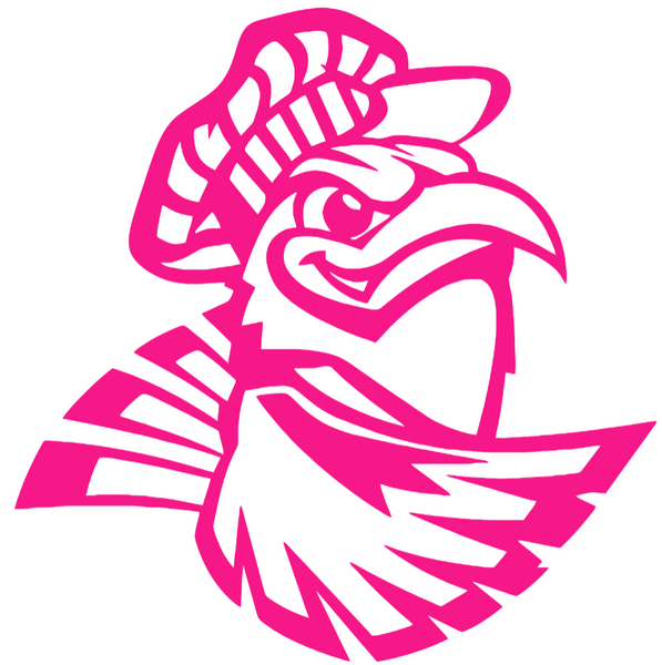 Chattanooga Mocs Hot Pink Retro Throwback Logo Premium DieCut Vinyl Decal PICK SIZE
