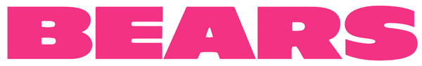 Chicago Bears HOT PINK Team Name Logo Premium DieCut Vinyl Decal PICK SIZE