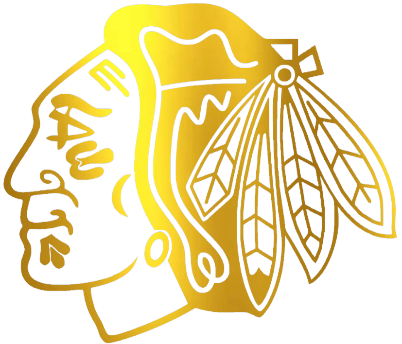 Chicago Blackhawks GOLD CHROME MIRROR Team Logo Premium DieCut Vinyl Decal PICK SIZE
