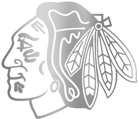 Chicago Blackhawks SILVER CHROME MIRROR Team Logo Premium DieCut Vinyl Decal PICK SIZE