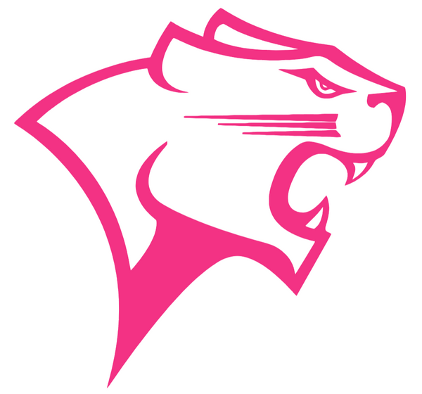 Chicago State Cougars HOT PINK Team Logo Premium DieCut Vinyl Decal PICK SIZE