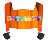 Chicago Bears Limited Edition Mini Football Helmet Visor Shield w/ Clips - PICK VISOR & LOGO COLOR
