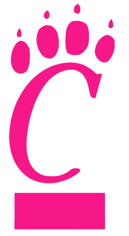 Cincinnati Bearcats Hot Pink Retro Throwback Logo Premium DieCut Vinyl Decal PICK SIZE
