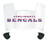 Cincinnati Bengals Limited Edition Mini Football Helmet Visor Shield w/ Clips - PICK VISOR & LOGO COLOR