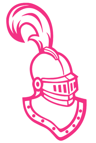 Clarkson Golden Knights HOT PINK Team Logo Premium DieCut Vinyl Decal PICK SIZE