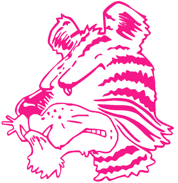 Clemson Tigers Hot Pink Team Name Logo Premium DieCut Vinyl Decal PICK SIZE