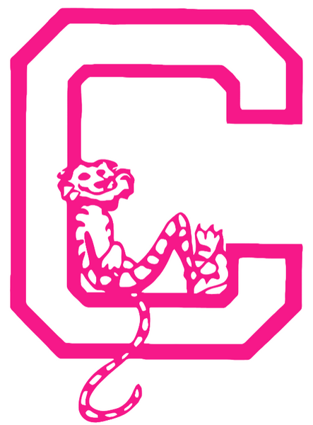 Clemson Tigers Hot Pink Retro Throwback Logo Premium DieCut Vinyl Decal PICK SIZE