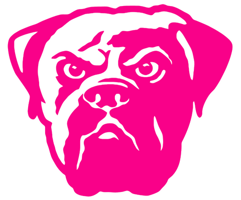 Cleveland Browns Hot Pink Retro Throwback Logo Premium DieCut Vinyl Decal PICK SIZE