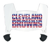 Cleveland Browns Limited Edition Mini Football Helmet Visor Shield w/ Clips - PICK VISOR & LOGO COLOR
