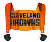 Cleveland Browns Limited Edition Mini Football Helmet Visor Shield w/ Clips - PICK VISOR & LOGO COLOR
