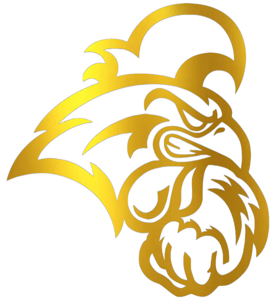 Coastal Carolina Chanticleers GOLD CHROME MIRROR Team Logo Premium DieCut Vinyl Decal PICK SIZE