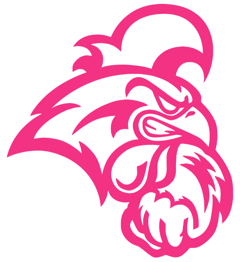 Coastal Carolina Chanticleers HOT PINK Team Logo Premium DieCut Vinyl Decal PICK SIZE