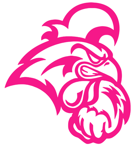 Coastal Carolina Chanticleers Hot Pink Team Logo Premium DieCut Vinyl Decal PICK SIZE