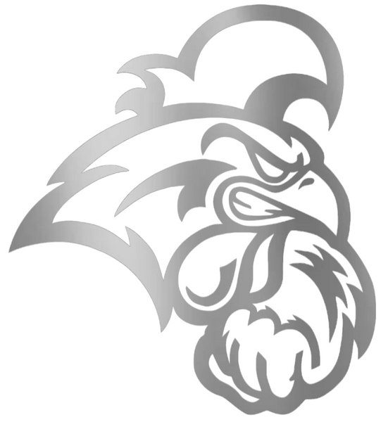 Coastal Carolina Chanticleers SILVER CHROME MIRROR Team Logo Premium DieCut Vinyl Decal PICK SIZE