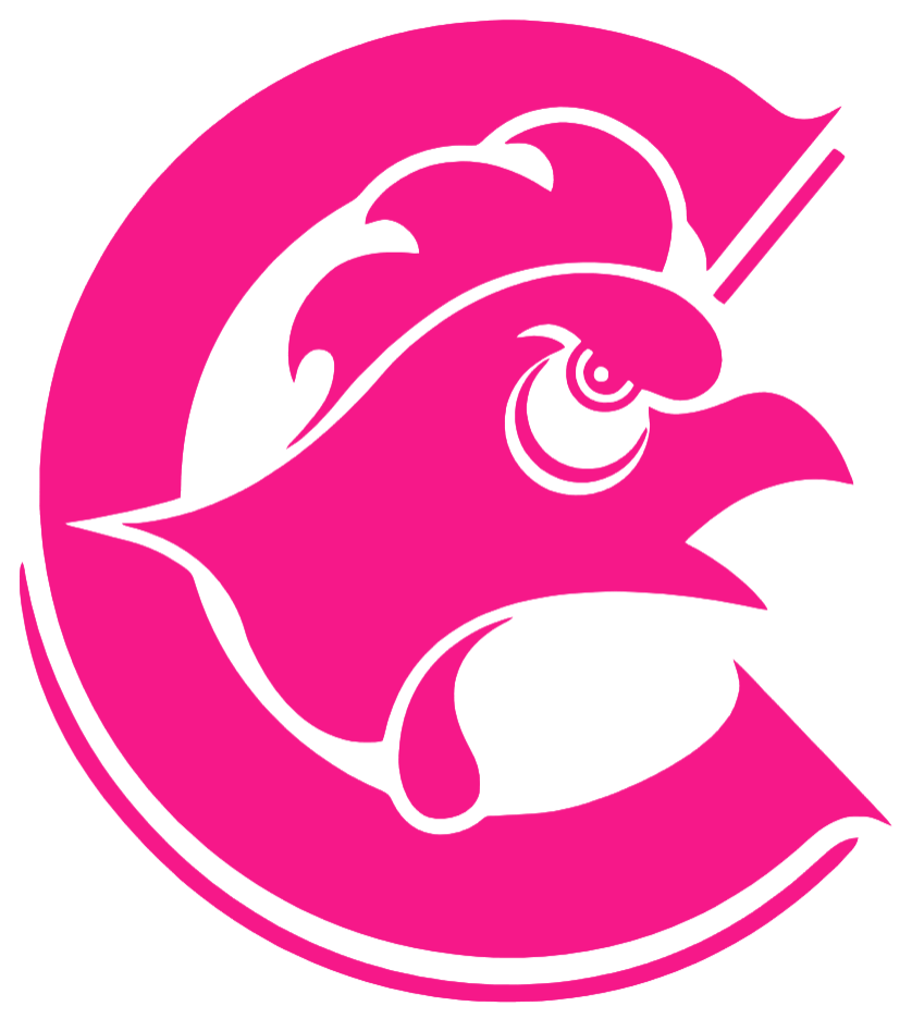 Coastal Carolina Chanticleers Hot Pink Retro Throwback Logo Premium DieCut Vinyl Decal PICK SIZE