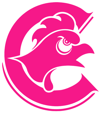 Coastal Carolina Chanticleers Hot Pink Retro Throwback Logo Premium DieCut Vinyl Decal PICK SIZE