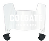 Colgate Raiders Mini Football Helmet Visor Shield w/ Clips - PICK VISOR & LOGO COLOR