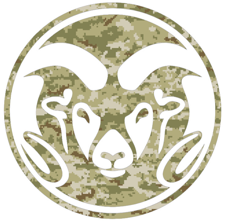 Colorado State Rams Team Logo Salute to Service Camouflage Camo Vinyl Decal PICK SIZE