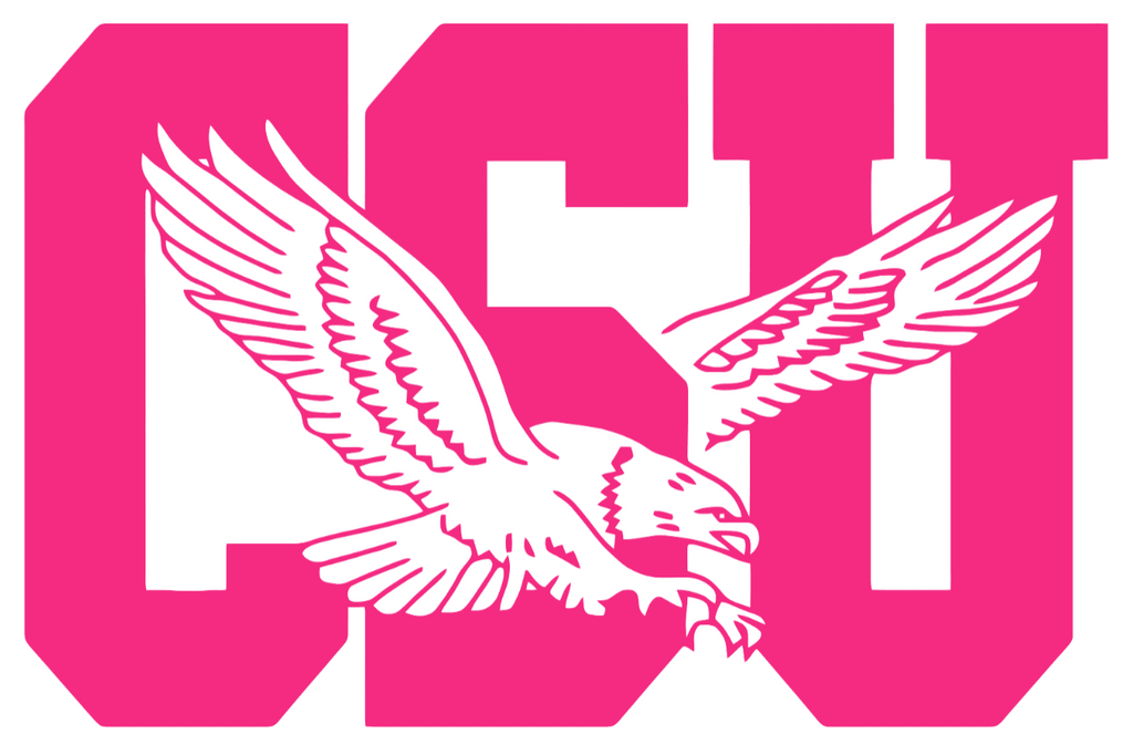 Coppin State Eagles HOT PINK Team Logo Premium DieCut Vinyl Decal PICK SIZE